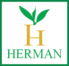 piantagione di tè Herman Teas